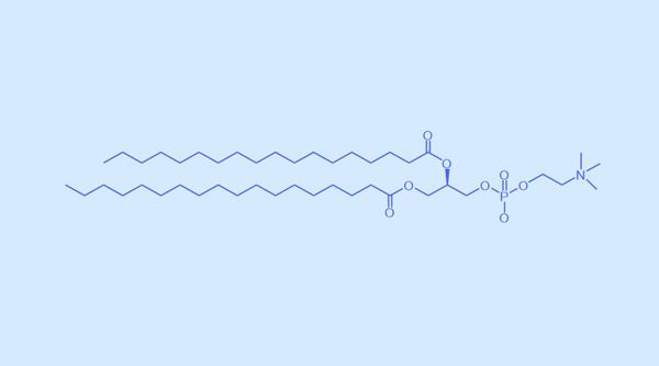 DSPC 1,2-二硬脂酰-sn-甘油-3-磷酸胆碱