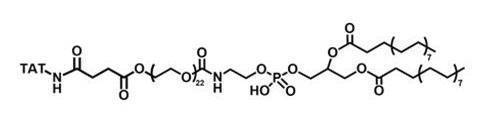 磷脂-聚乙二醇-靶向穿膜肽TAT