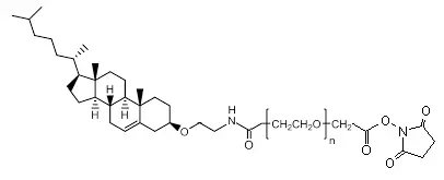 高分子PEG CLS-PEG2000-NHS，NHS-PEG2000-Cholesterol 含有胆固醇和活性酯