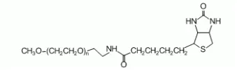 甲氧基聚乙二醇生物素，mPEG-Biotin 具有高亲和力和特异性