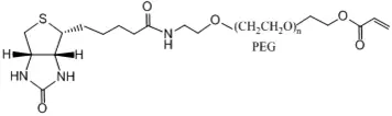 Biotin-PEG2000-AC，生物素聚乙二醇丙烯酸酯，可与自由基引发剂或紫外光聚合