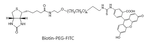 Fluorescent-PEG2000-Biotin，Biotin-PEG2000-FITC 含有荧光素染料和生物素的PEG试剂