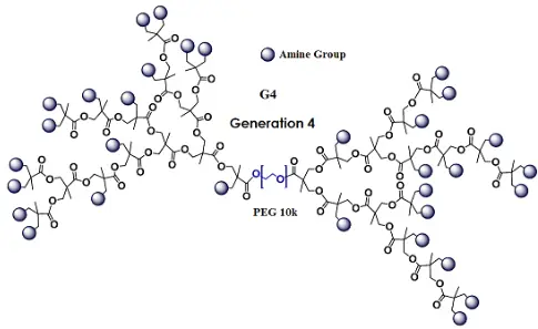 Dendro NH2-PEG2000-Dendro NH2，PEG链两端有两个超支化树状楔