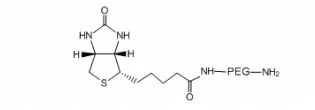 线性异双功能PEG试剂 Biotin-PEG-Amine，生物素聚乙二醇氨基