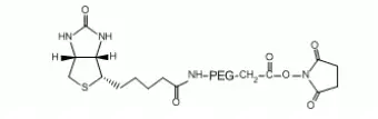 生物素聚乙二醇活性酯，Biotin-PEG-NHS，可用于生物素化生物分子或其他材料表面