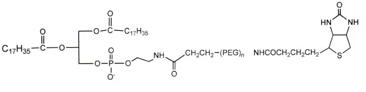 定制合成 Biotin-PEG2000-DSPE，有多种包装规格，全国可售