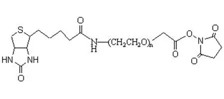 Biotin-PEG2000-SCM，生物素-聚乙二醇-琥珀酰亚胺乙酸酯 多种规格，可按需定制