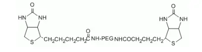 Biotin-PEG2000-Biotin，Bio-PEG2k-Bio，生物素通过稳定的酰胺连接物与线性PEG结合