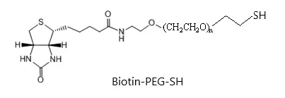 Biotin-PEG2000-Thiol，HS-PEG2000-Biotin 含有生物素和巯基的PEG衍生物