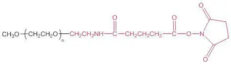 mPEG-Glutaramide Succinimidyl ester，PEG和NHS酯之间存在C3脂肪酰胺键