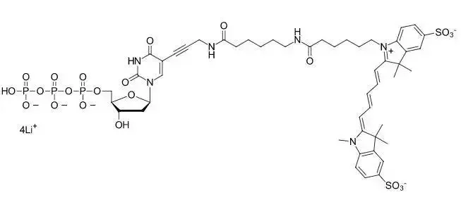 Sulfo-Cyanine5 dUTP 以冷冻干燥的锂盐形式提供，可随时使用