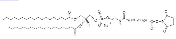 磷脂-PEG2000-活性酯1445723-73-8，DSPE-PEG2000-NHS 有用的自组装试剂