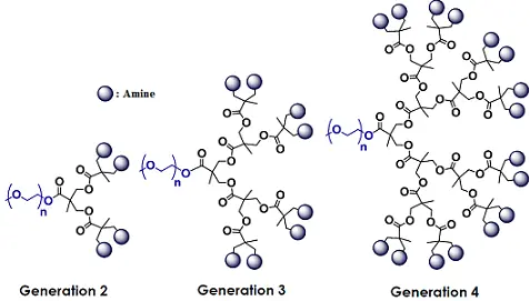 mPEG2000-Dendro Amine 由一个线性PEG与一个端接胺基的树状大分子共轭而成