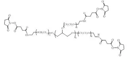 8-Arm PEG2000-SAS 八臂的每个末端具有琥珀酰亚胺NHS酯基