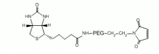 Maleimide-PEG-Biotin，Biotin-PEG-Mal 不同大小的分子量决定不同性状