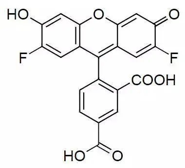 5-OG488 acid，1027168-06-4亮绿色荧光生物结合物，荧光染料