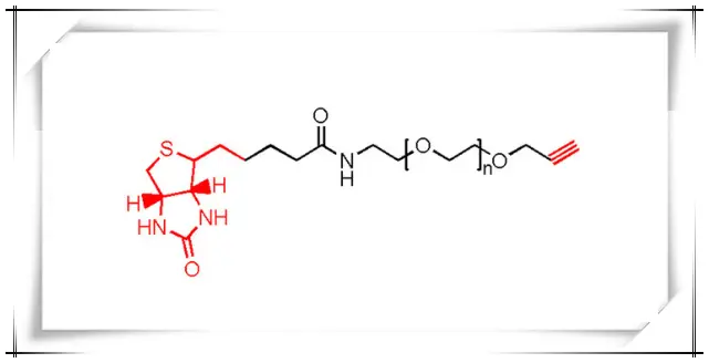 Biotin-PEG-Alkyne，Biotin-PEG-Alk，生物素-聚乙二醇-炔烃一种PEG试剂