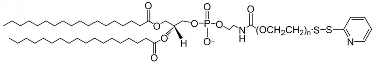 活性磷脂PEG衍生物磷脂-聚乙二醇-巯基吡啶 DSPE-PEG-OPSS DSPE-PEG-PDP