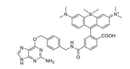 光稳定性好｜硅基罗丹明-苄基鸟嘌呤｜SiR650-BG｜1418275-29-2