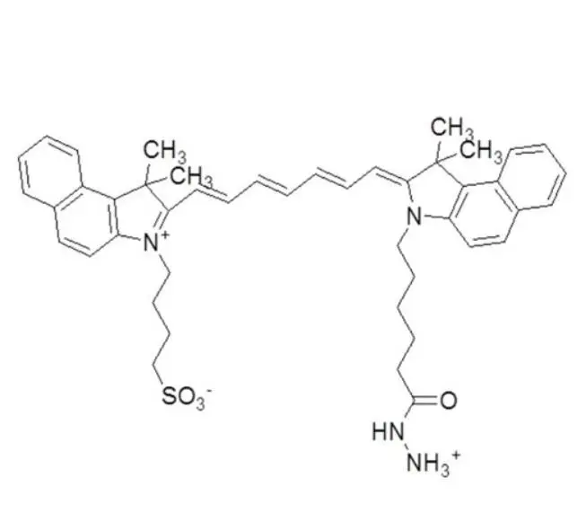 ICG-Hydrazide|吲哚菁绿-酰肼|胺反应化学物|花青染料