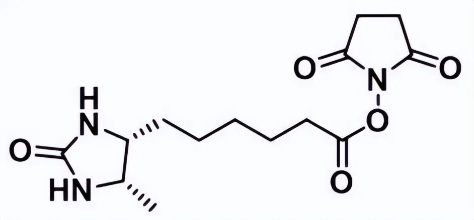 80750-24-9,脱硫生物素-琥珀酰亚胺，Desthiobiotin-NHS ester