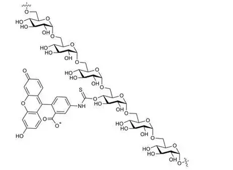 FITC-Dextran，Dextran-FITC，右旋糖酐荧光素，一种被标记的多糖