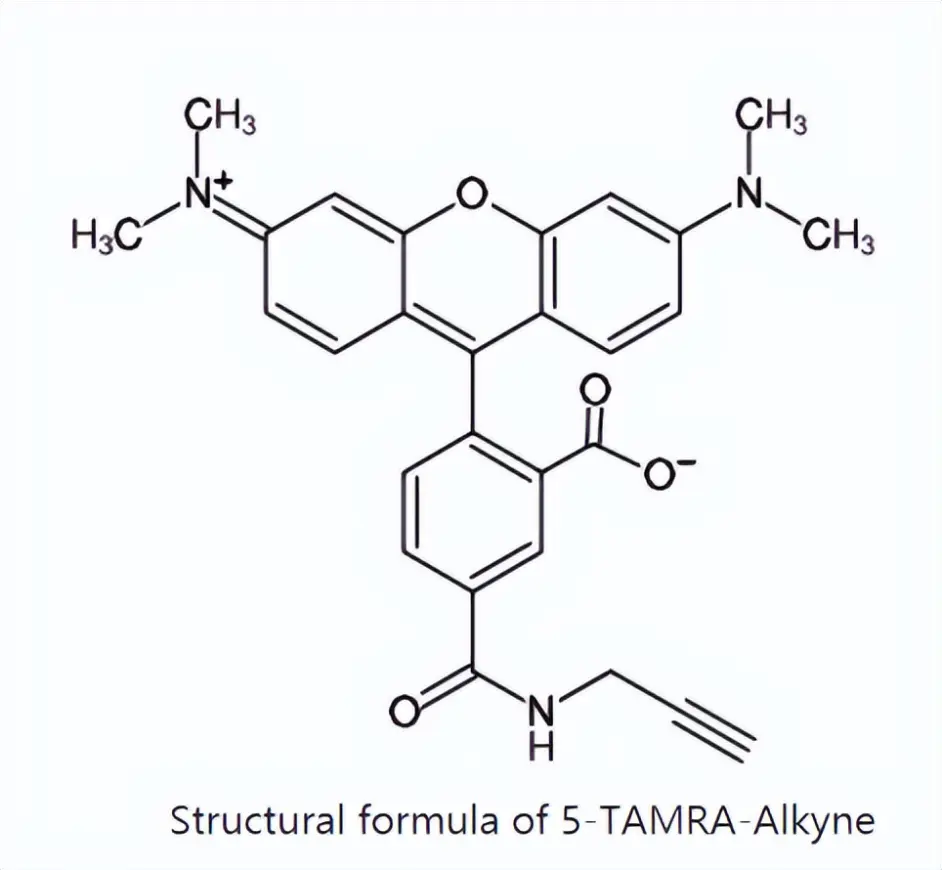 TAMRA alkyne, 5-isomer,CAS:945928-17-6