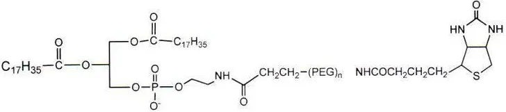 DSPE-PEG-Biotin 385437-57-0 磷脂-聚乙二醇-生物素功能性磷脂PEG衍生物