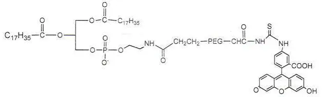 荧光磷脂PEG衍生物之一磷脂-聚乙二醇-荧光素,Fluorescein-PEG-DSPE