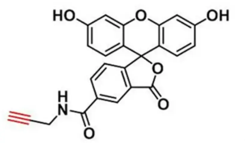 5-FAM alkyne|510758-19-7|5-羧基荧光素-炔基