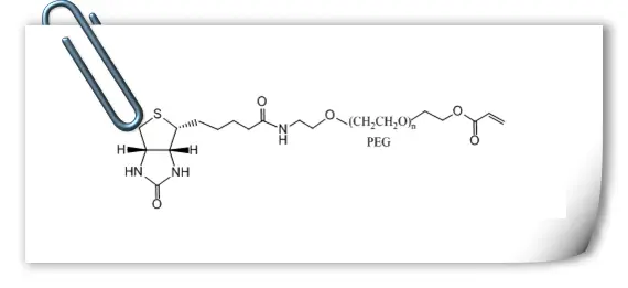 聚乙二醇试剂生物素-聚乙二醇-丙烯酸酯,Biotin-PEG-AC,Biotin-PEG-Acrylate