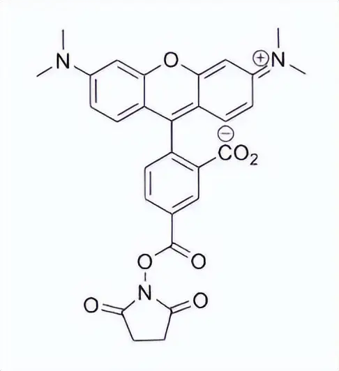 5-TAMRA-NHS ester，5-TAMRA-SE，150810-68-7明亮的橙色荧光染料