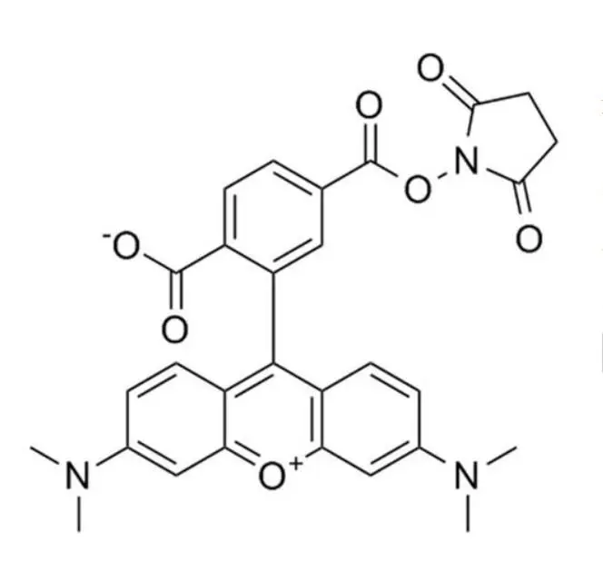 CAS：150810-69-8，6-TAMRA, SE，6-羧基四甲基罗丹明琥珀酰亚胺酯