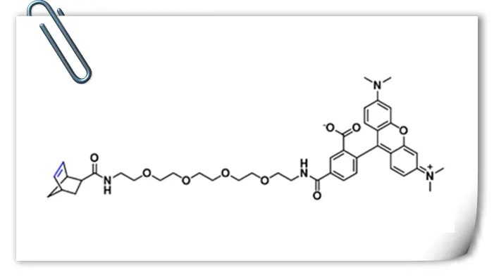 Norbornene-5-TAMRA，降冰片烯-5-羧基四甲基罗丹明供应