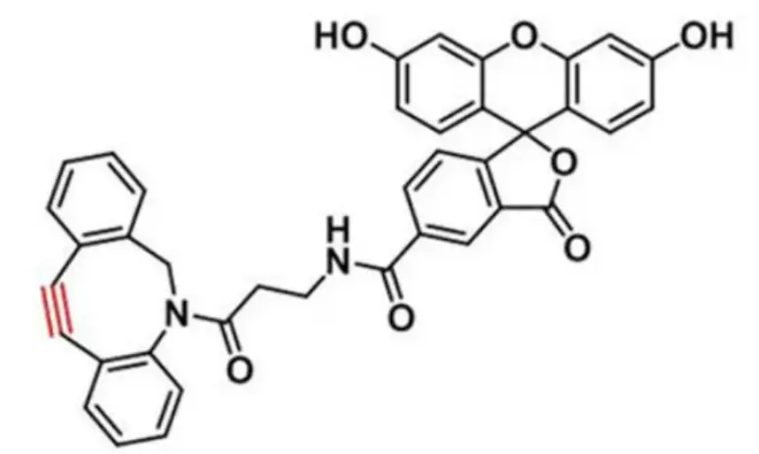 5-FAM DBCO|5-羧基荧光素-二苯并环辛炔|1384485-04-4