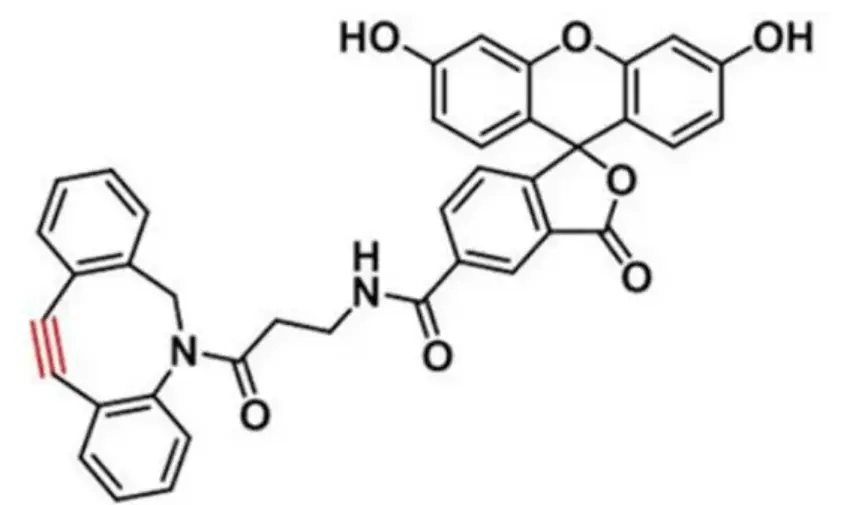 5-FAM DBCO|5-羧基荧光素-二苯并环辛炔|1384485-04-4