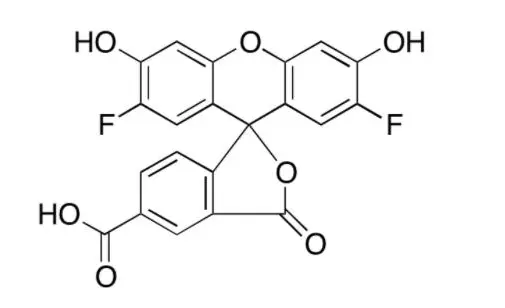 OG 488,acid|195136-52-8|Oregon Green 488 Carboxylic Acid科研试剂