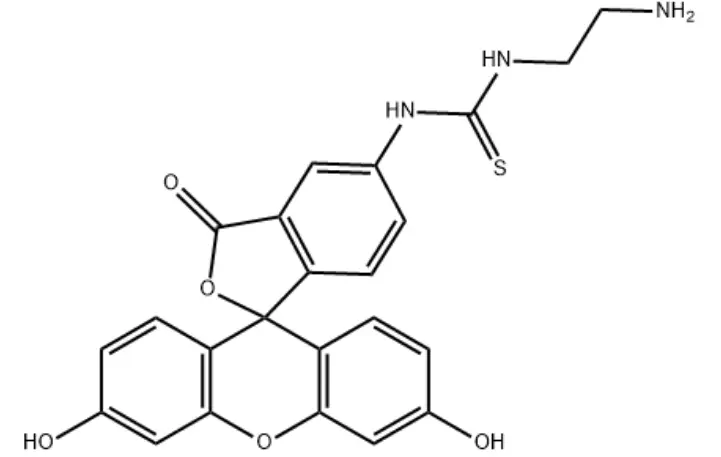 75453-82-6|5-FITC-C2-amine，Fluorescent-C2-NH2|异硫氰酸荧光素乙二胺|