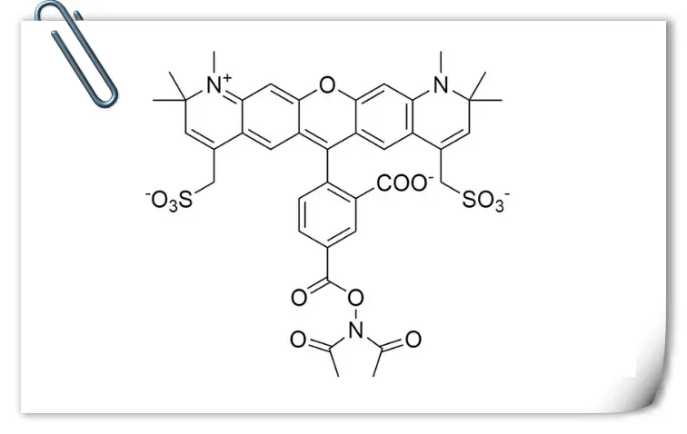 供应红色荧光染料AF594 琥珀酰亚胺酯, 5-异构体,CAS:1638544-48-5