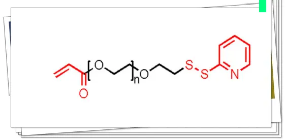 OPSS-PEG-Acrylate，OPSS-PEG-AC，巯基吡啶-聚乙二醇-丙烯酸酯可增加稳定性