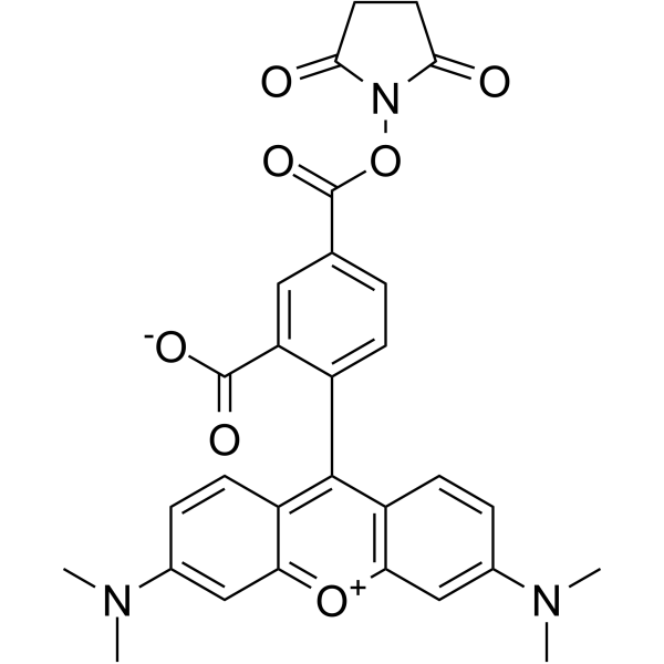CAS：150810-68-7，5-TAMRA, SE，5-羧基四甲基罗丹明琥珀酰亚胺酯