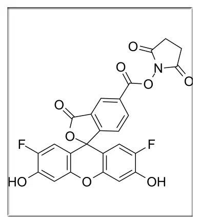 CAS:198139-51-4,OG 488 SE,OG 488-NHS,俄勒冈州绿488琥珀酰亚胺酯