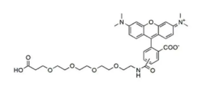 CAS：1909223-02-4，TAMRA-PEG4-acid，甲基罗丹明-四聚乙二醇-羧酸试剂供应