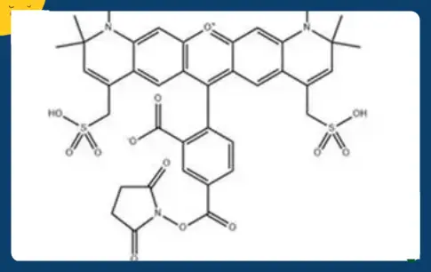 红色荧光染料AF 594活性酯,Alexa Fluor 594 NHS ester,CAS:295348-87-7