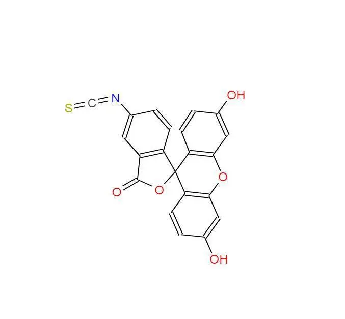 异硫氰酸荧光素酯|5-(6)-FITC|CAS3326-32-7|