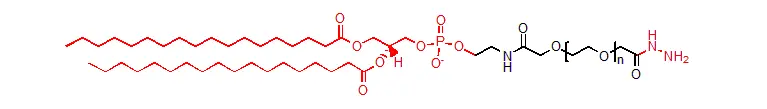 DSPE-PEG-Hydrazide 羰基反应性磷脂PEG衍生物磷脂-聚乙二醇-酰肼供应