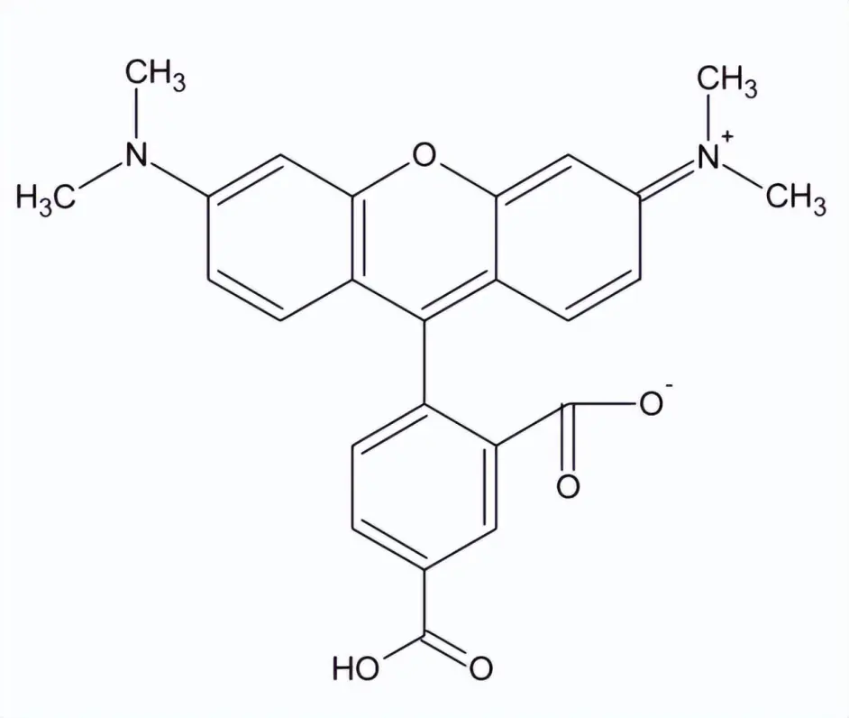 5-羧基四甲基罗丹明，5-TAMRA，91809-66-4