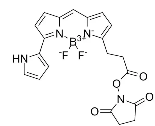 活化N-羟基琥珀酰亚胺酯疏水染料 201998-61-0，BDP 576 NHS