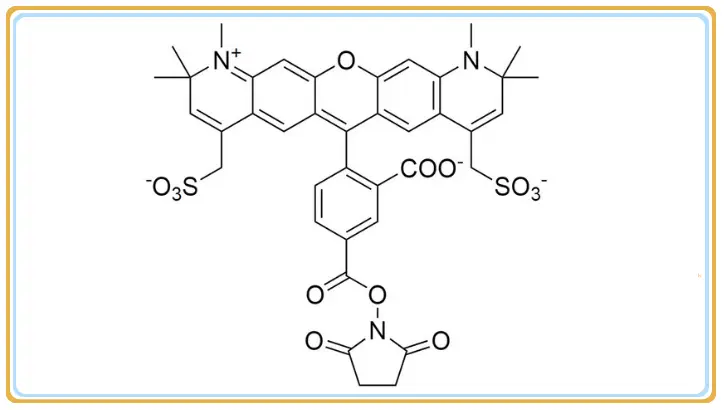 供应水溶性染料AF594 NHS ester，5-isomer，CAS：1638544-48-5