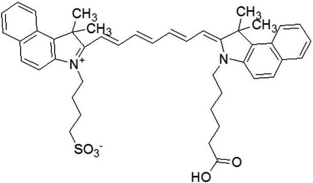 ICG偶联产品简介ICG-DBCO｜CBT｜NH2｜SH｜TCO｜Hydrazide